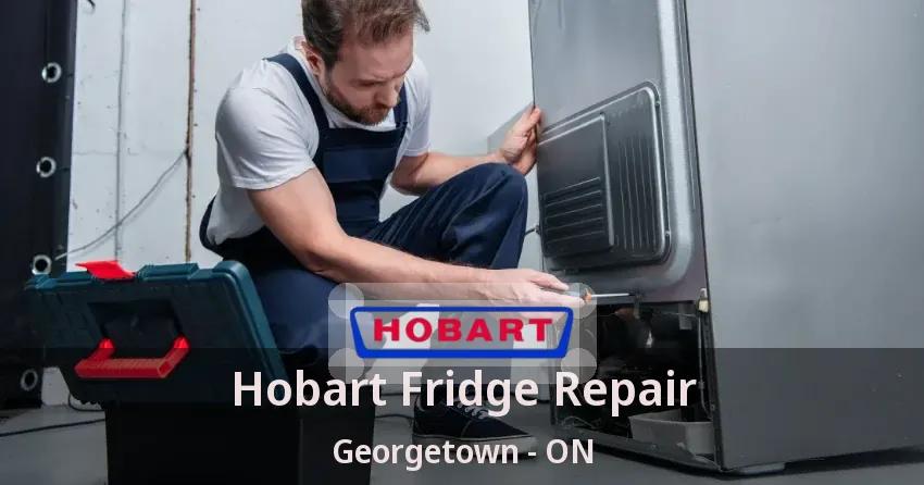 Hobart Fridge Repair Georgetown - ON