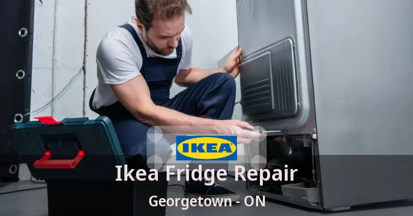 Ikea Fridge Repair Georgetown - ON
