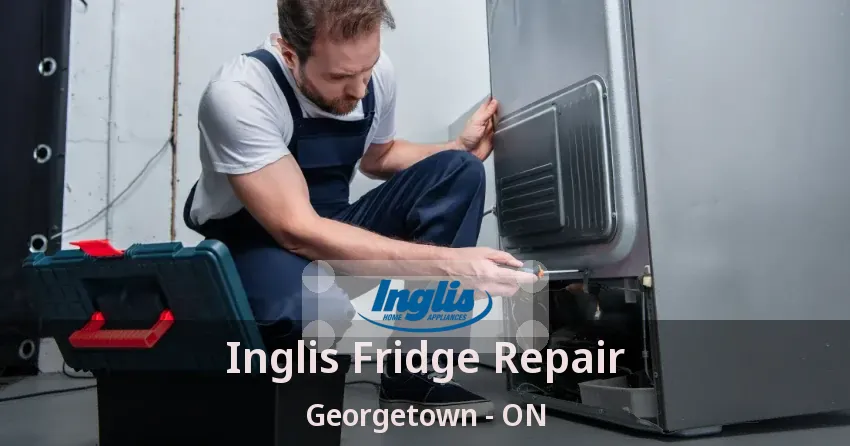Inglis Fridge Repair Georgetown - ON