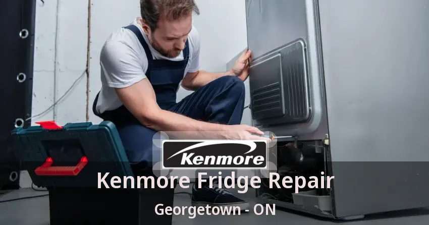 Kenmore Fridge Repair Georgetown - ON