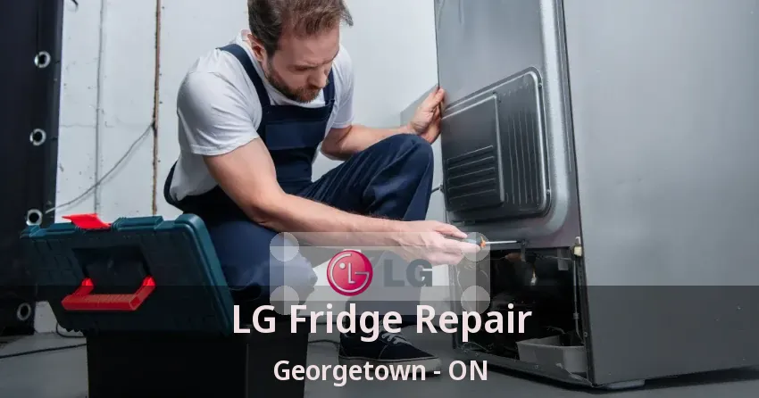 LG Fridge Repair Georgetown - ON