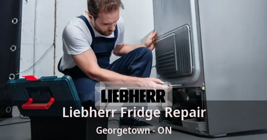 Liebherr Fridge Repair Georgetown - ON