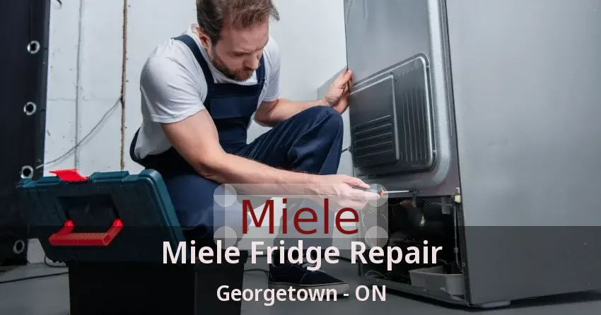 Miele Fridge Repair Georgetown - ON