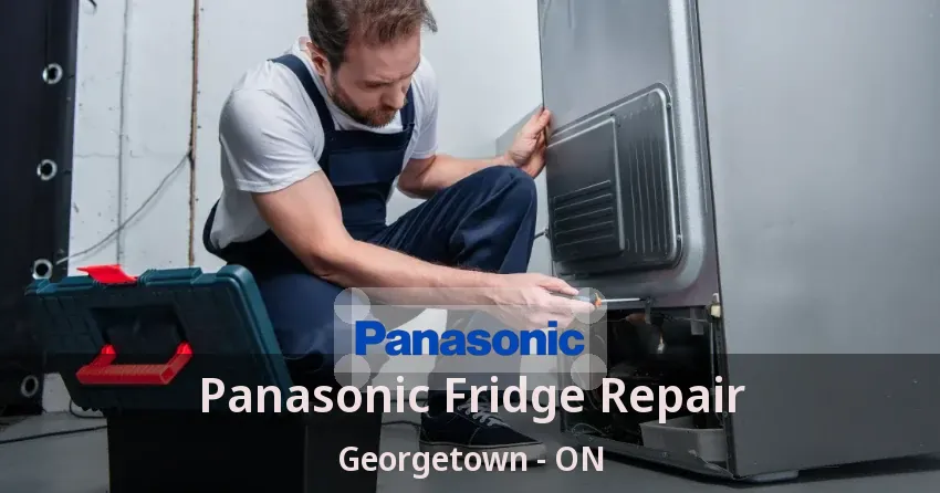 Panasonic Fridge Repair Georgetown - ON