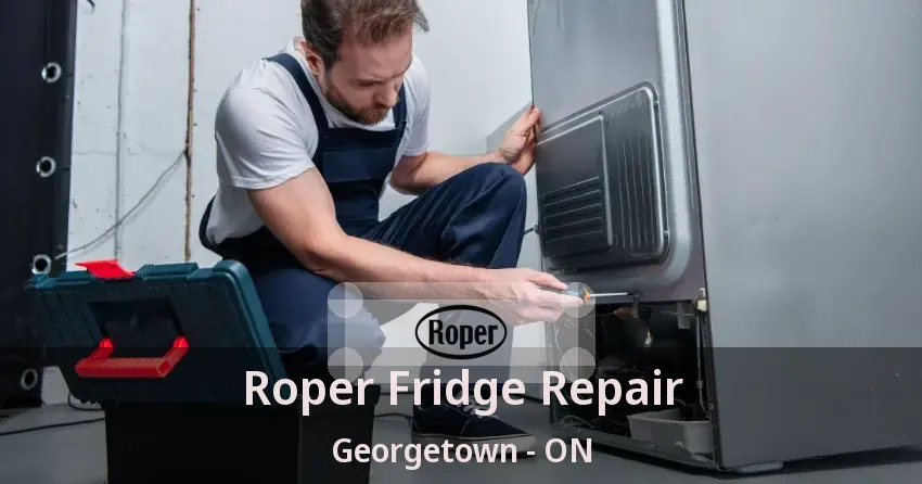 Roper Fridge Repair Georgetown - ON