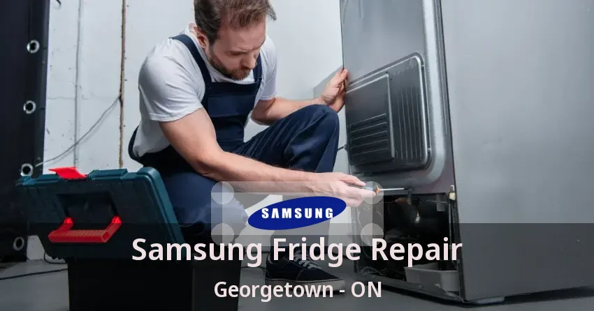 Samsung Fridge Repair Georgetown - ON