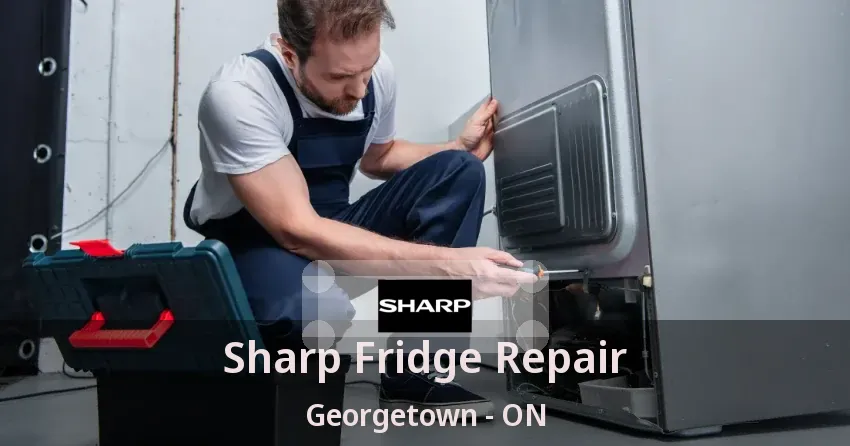 Sharp Fridge Repair Georgetown - ON