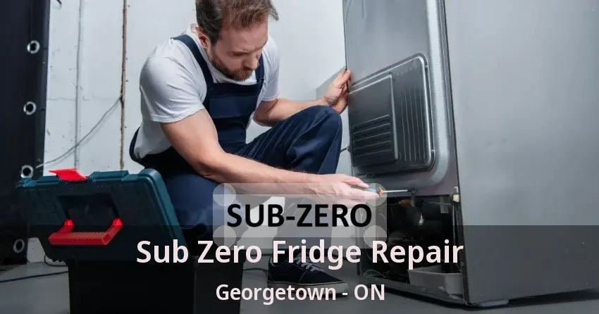Sub Zero Fridge Repair Georgetown - ON