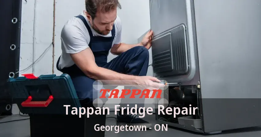 Tappan Fridge Repair Georgetown - ON