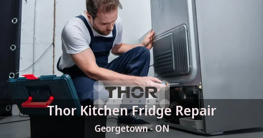 Thor Kitchen Fridge Repair Georgetown - ON