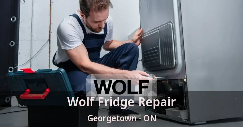 Wolf Fridge Repair Georgetown - ON