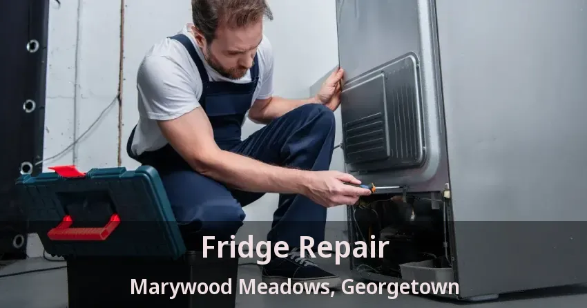 Fridge Repair Marywood Meadows, Georgetown - ON