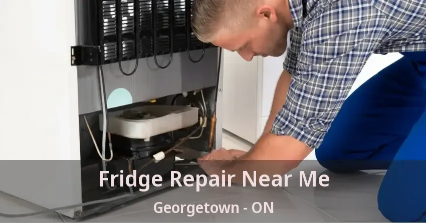 Fridge Repair Near Me Georgetown - ON