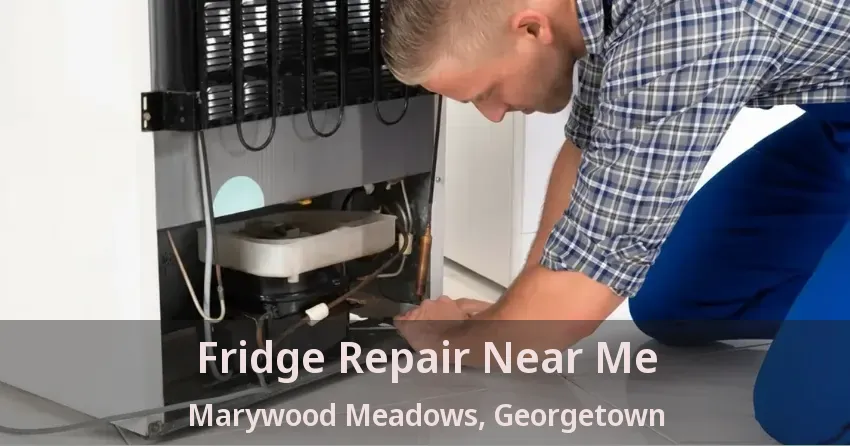 Fridge Repair Near Me Marywood Meadows, Georgetown - ON