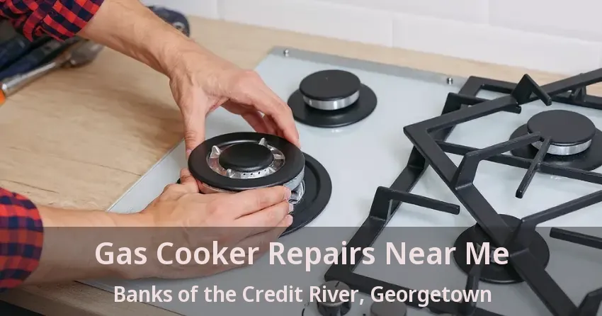 Gas Cooker Repairs Near Me Banks of the Credit River, Georgetown - ON