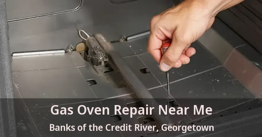 Gas Oven Repair Near Me Banks of the Credit River, Georgetown - ON