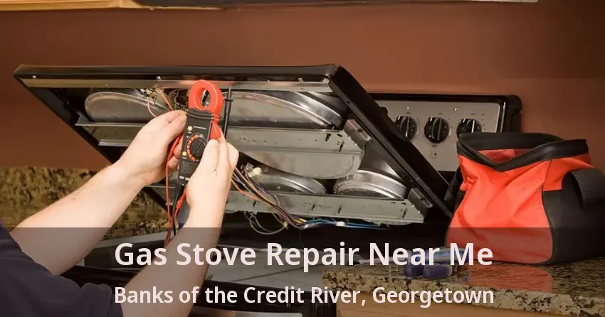 Gas Stove Repair Near Me Banks of the Credit River, Georgetown - ON