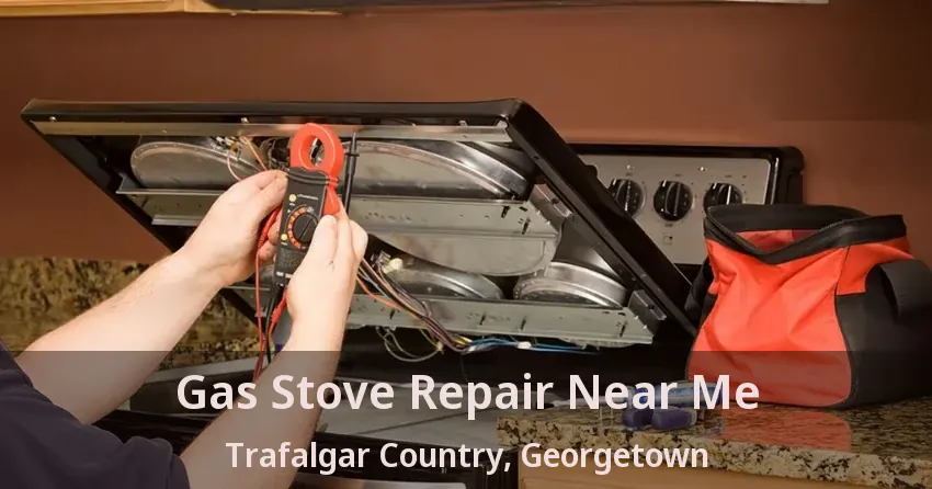 Gas Stove Repair Near Me Trafalgar Country, Georgetown - ON