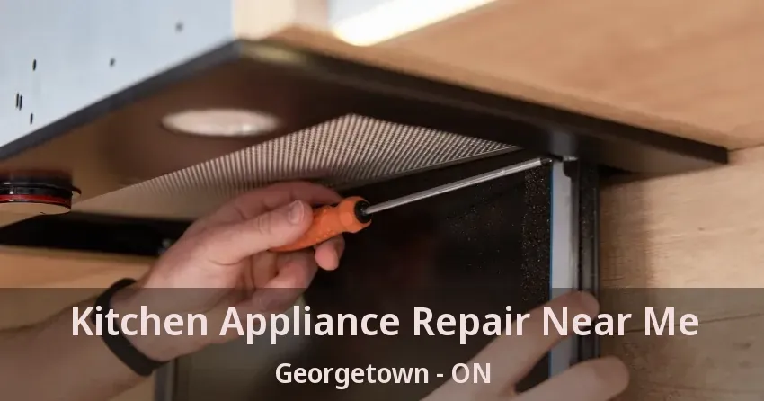 Kitchen Appliance Repair Near Me Georgetown - ON