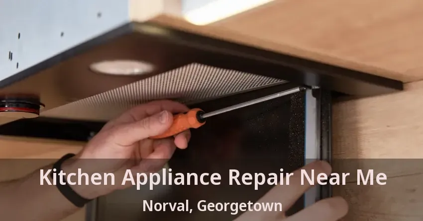 Kitchen Appliance Repair Near Me Norval, Georgetown - ON