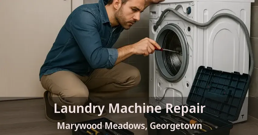 Laundry Machine Repair Marywood Meadows, Georgetown - ON