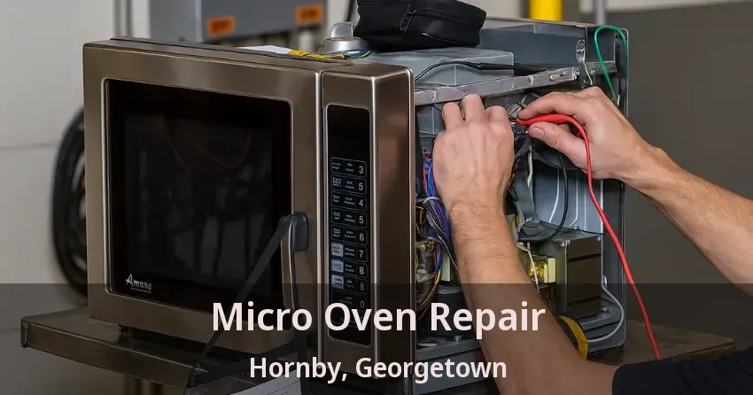 Micro Oven Repair Hornby, Georgetown - ON