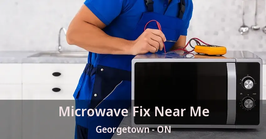 Microwave Fix Near Me Georgetown - ON