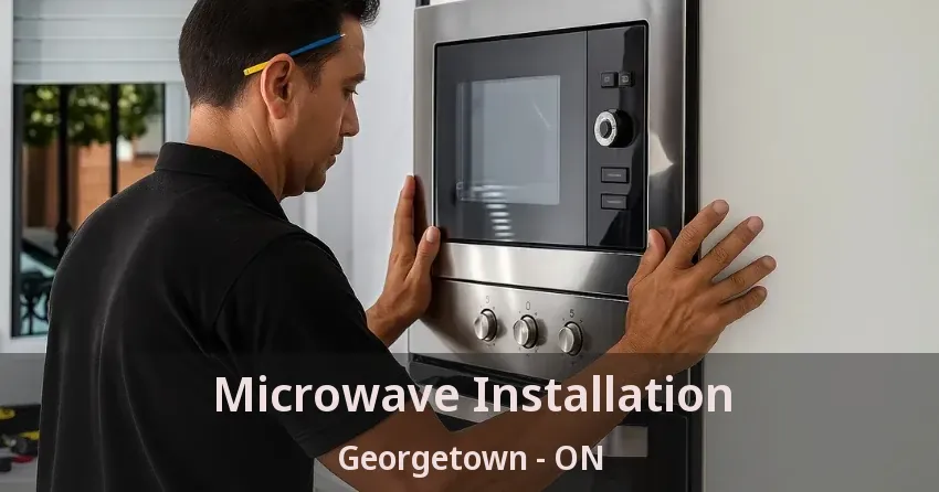 Microwave Installation Georgetown - ON