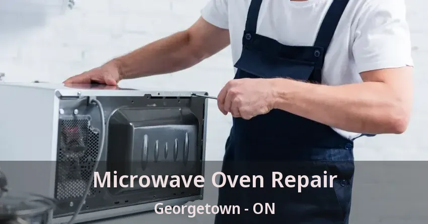 Microwave Oven Repair Georgetown - ON