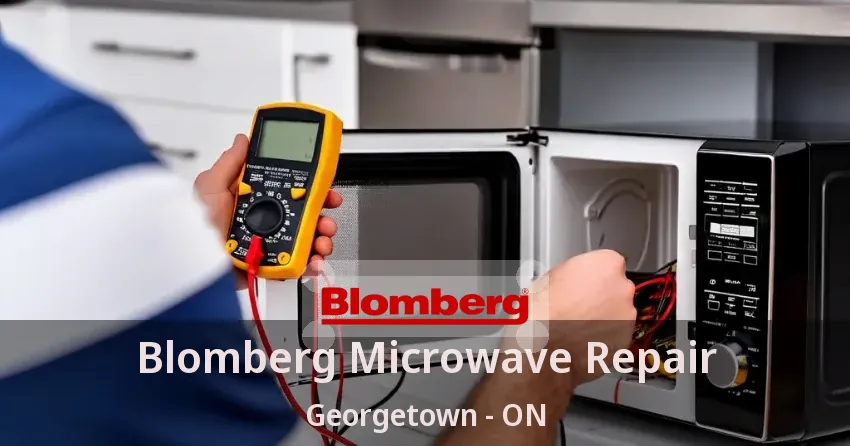 Blomberg Microwave Repair Georgetown - ON