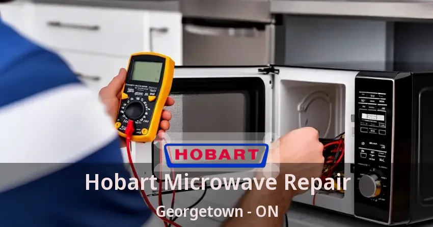 Hobart Microwave Repair Georgetown - ON