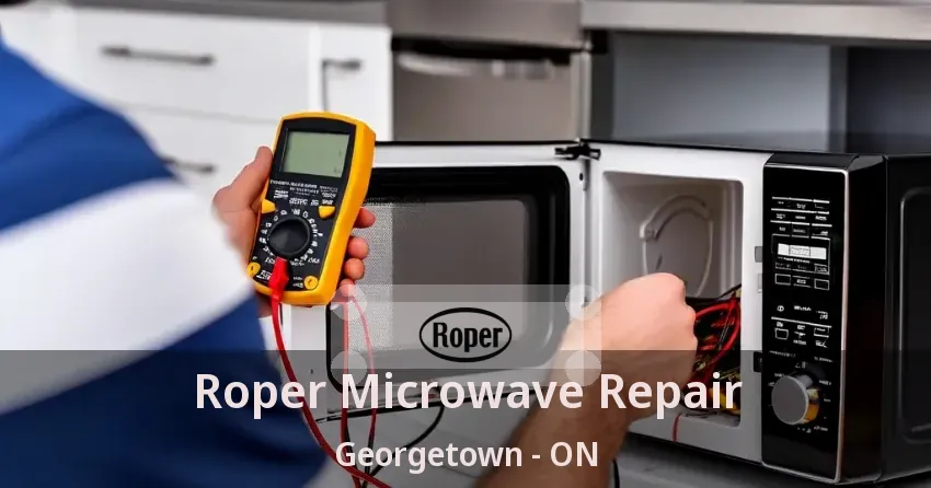 Roper Microwave Repair Georgetown - ON