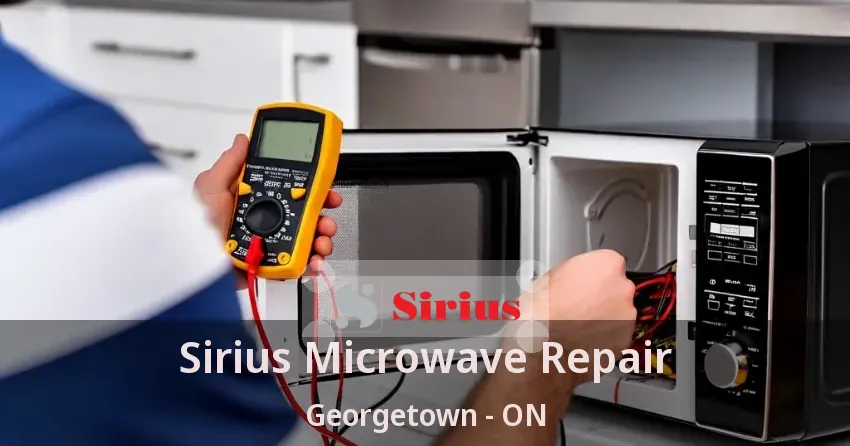 Sirius Microwave Repair Georgetown - ON