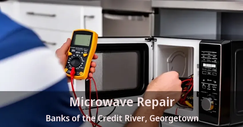 Microwave Repair Banks of the Credit River, Georgetown - ON