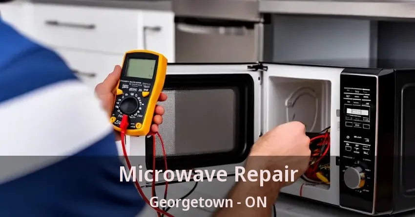 Microwave Repair Georgetown - ON