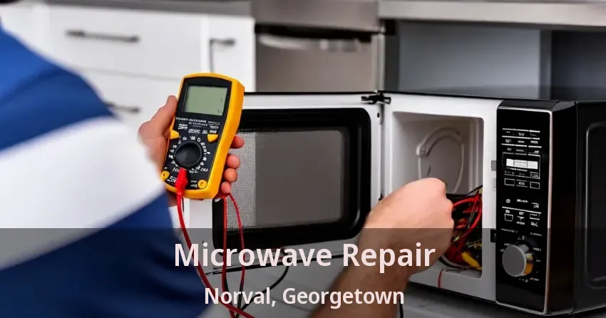 Microwave Repair Norval, Georgetown - ON