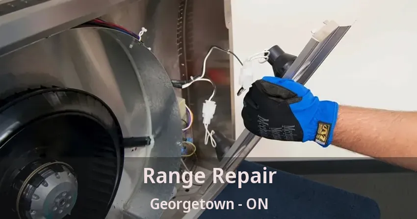 Range Repair Georgetown - ON