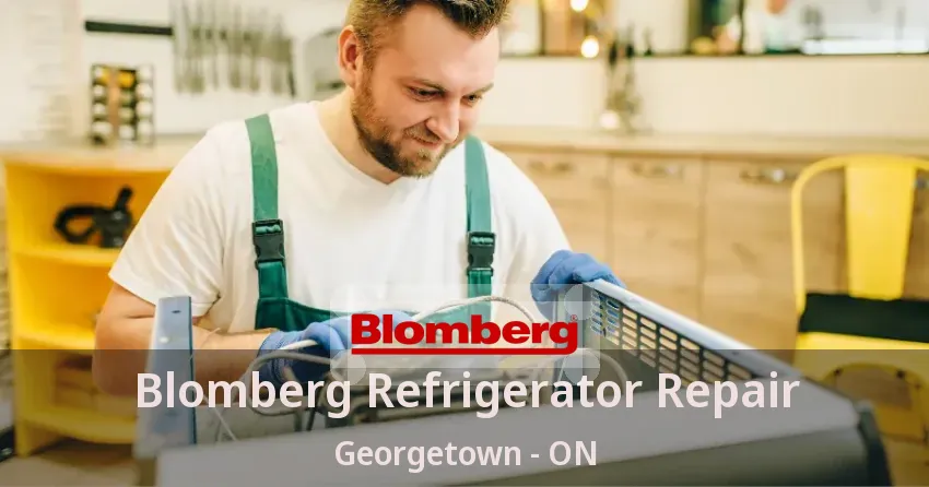 Blomberg Refrigerator Repair Georgetown - ON