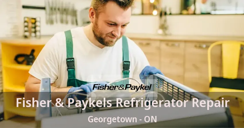 Fisher & Paykels Refrigerator Repair Georgetown - ON