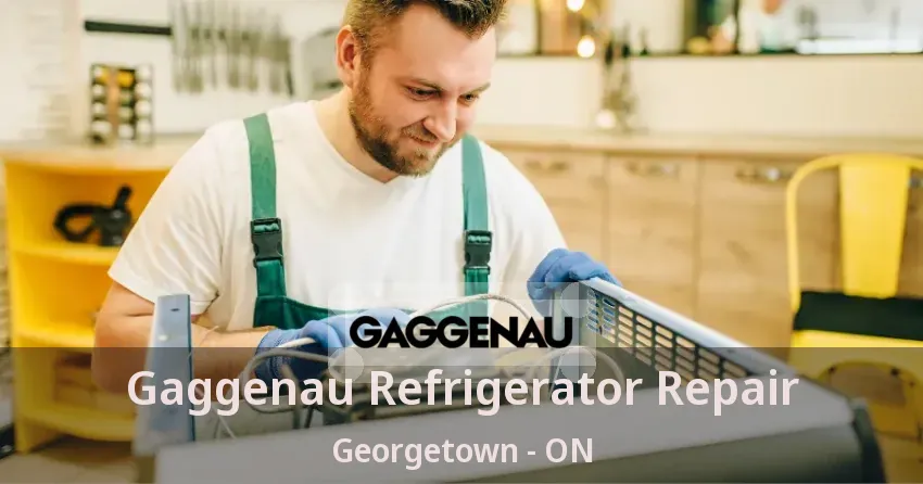 Gaggenau Refrigerator Repair Georgetown - ON