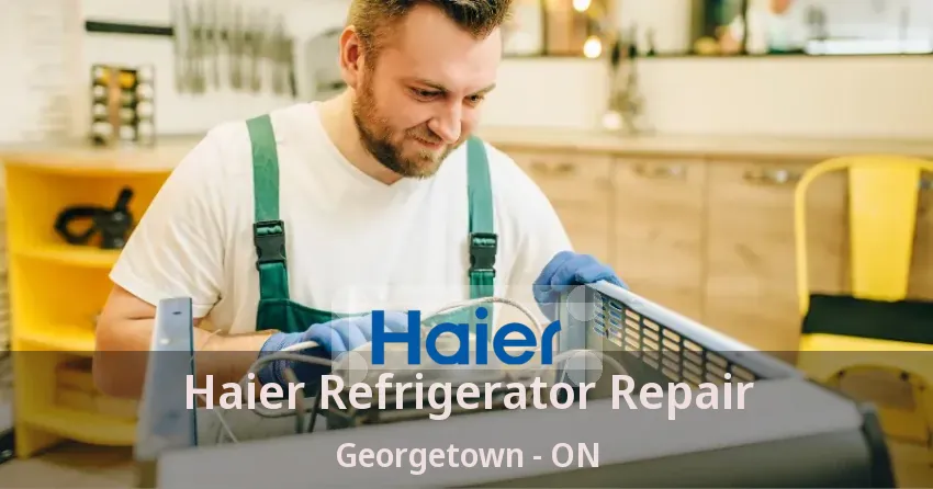 Haier Refrigerator Repair Georgetown - ON