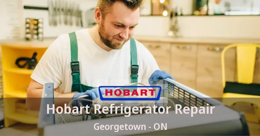 Hobart Refrigerator Repair Georgetown - ON