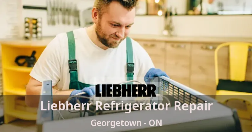 Liebherr Refrigerator Repair Georgetown - ON