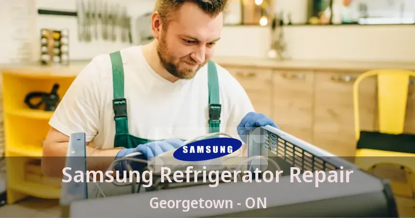 Samsung Refrigerator Repair Georgetown - ON