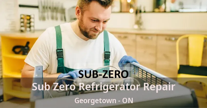 Sub Zero Refrigerator Repair Georgetown - ON