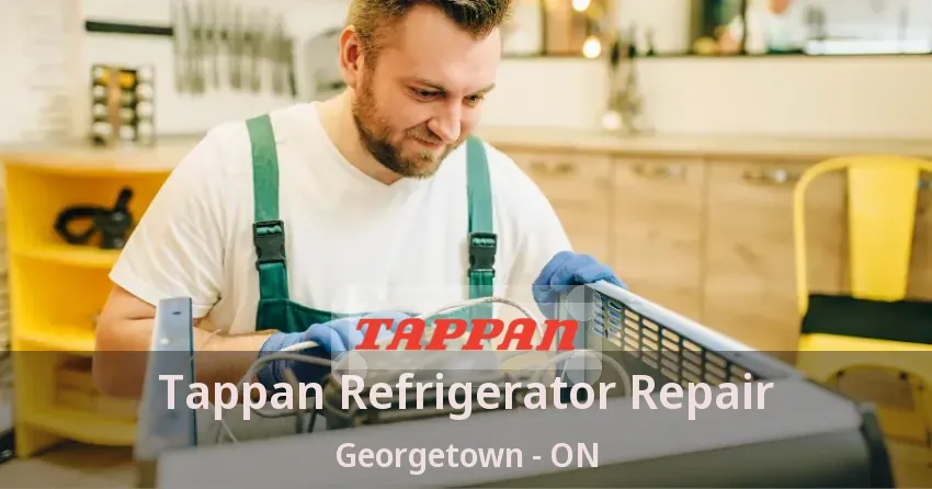 Tappan Refrigerator Repair Georgetown - ON