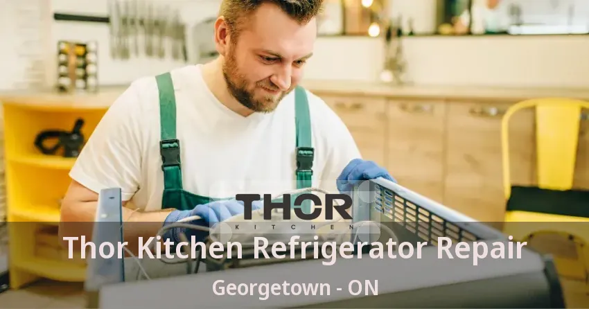 Thor Kitchen Refrigerator Repair Georgetown - ON