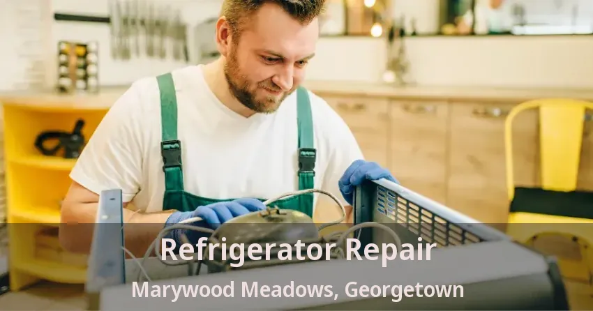 Refrigerator Repair Marywood Meadows, Georgetown - ON