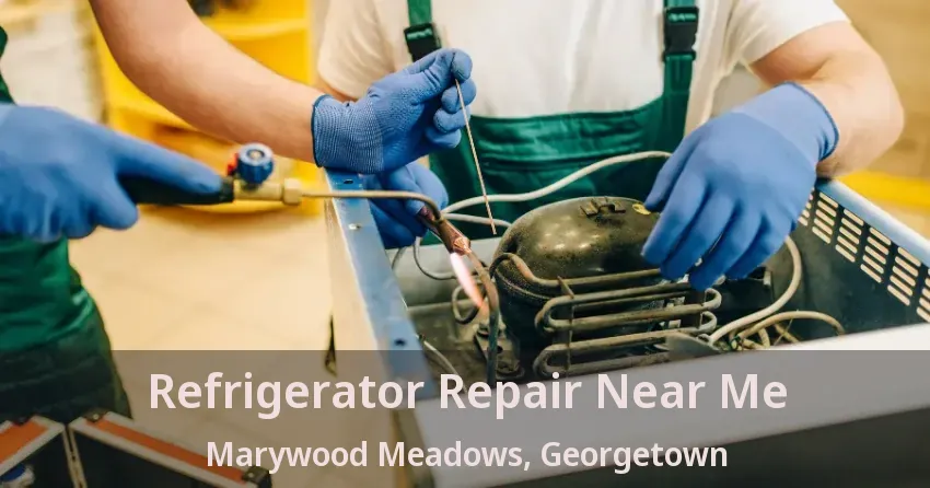 Refrigerator Repair Near Me Marywood Meadows, Georgetown - ON