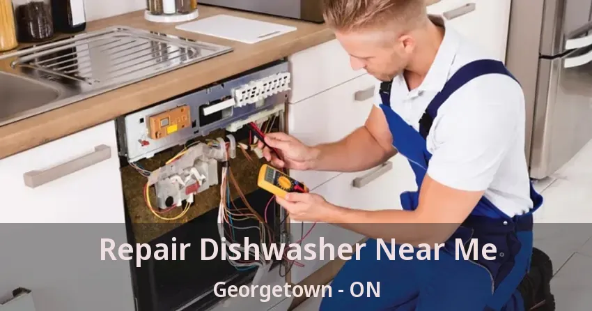 Repair Dishwasher Near Me Georgetown - ON